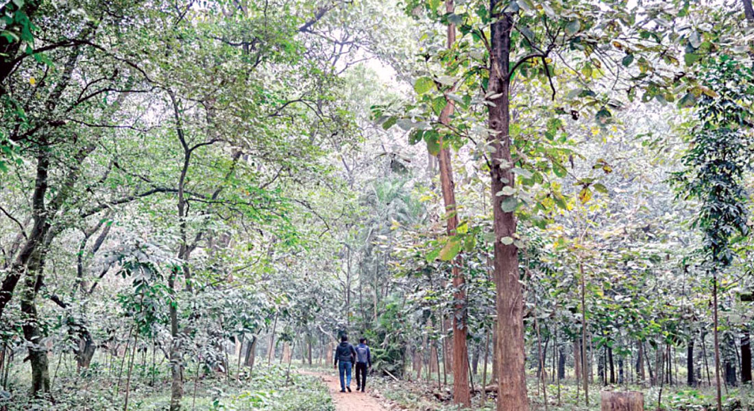 মিরপুরের এই জায়গাগুলো ঘুরে দেখেছেন কি